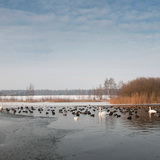 Lommel Sahara